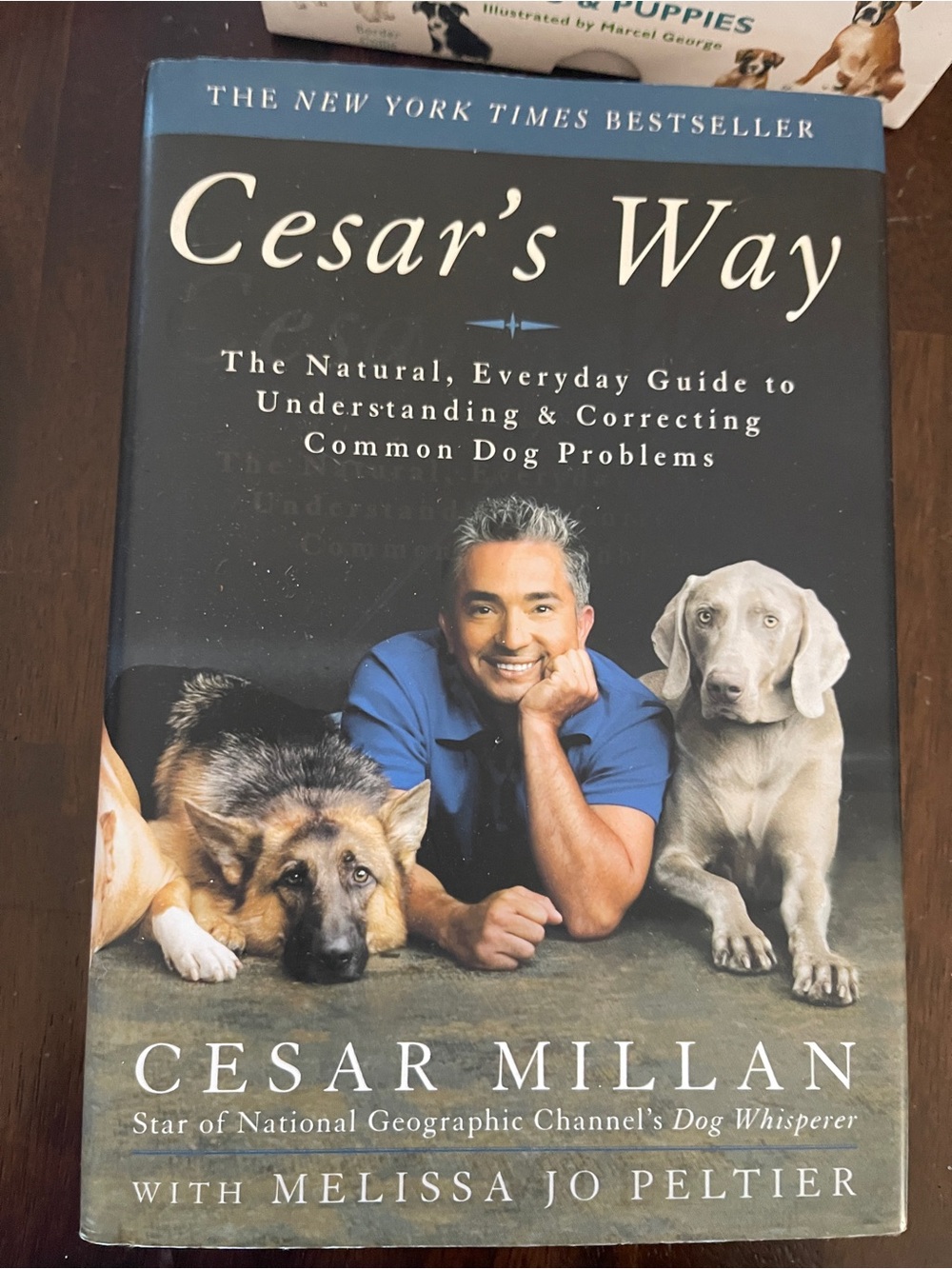 Cesar's Way - Dog Training Guide (Blue Cover)
